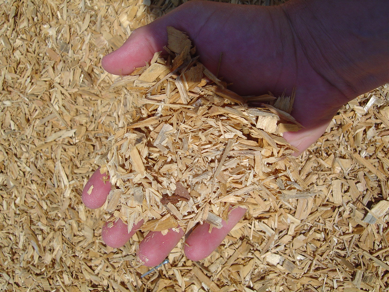 Certified Playground Mulch, ADA Playground Mulch Florida